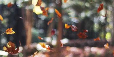 Laboratory Location Map